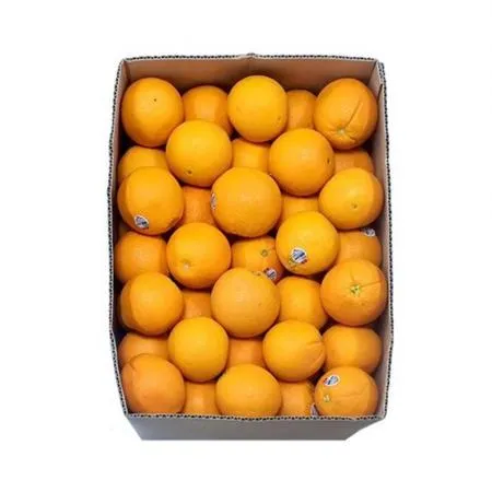 오렌지 (88과 생과용 17Kg/BOX)