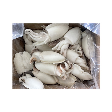 갑오징어(Whole_100~200g/마리 5Kg/BOX)