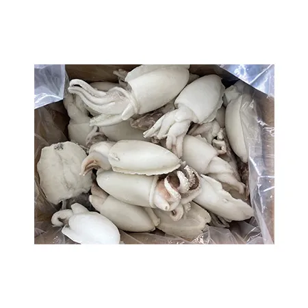 갑오징어(Whole_100~200g/마리 5Kg/BOX)