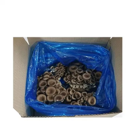 국산 느타리버섯(상품 다발 1Kg/BOX)