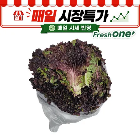★매일시장특가★ 프레시원 적상추(상 500g/EA)