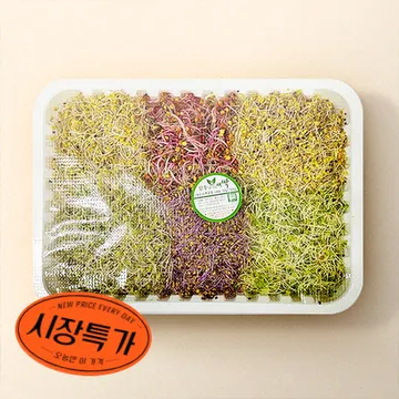 ★매일시장특가★ 모듬새싹 (500G/EA) 새싹 모듬 야채