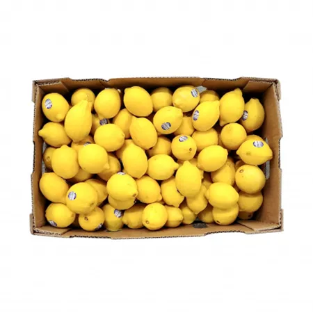 ★매일시장특가★ 레몬 (140과 16Kg/BOX) 초특가 과일 생과일 수입과일 이미지