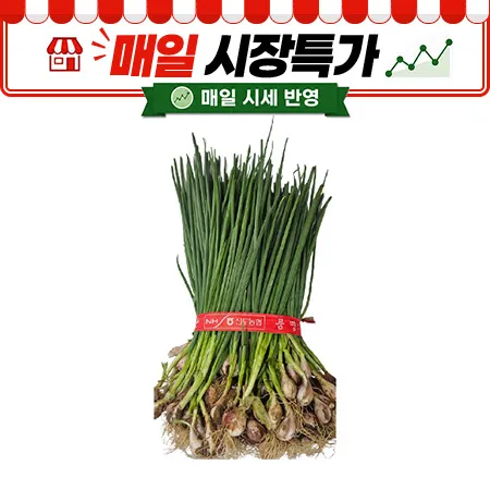 ★매일시장특가★ 흙쪽파(1단, 1Kg내외/EA)