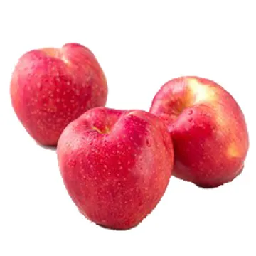 사과(제수용 330g/EA)/국내산