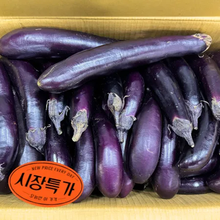 ★매일시장특가★ 가지 (국내산, 8Kg/BOX)