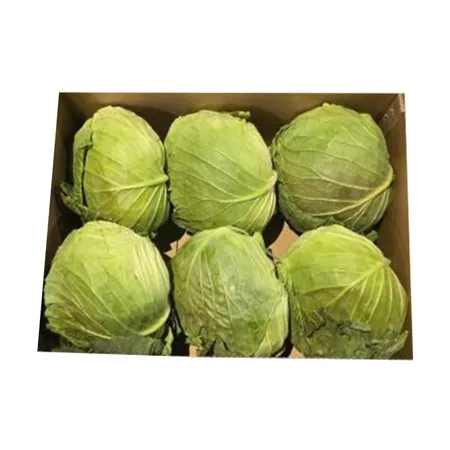 ★매일시장특가★ 양배추 국내산 (15Kg/BOX)
