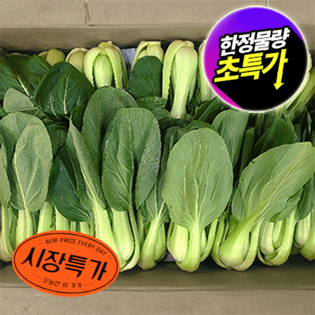 ★매일시장특가★ 청경채 상 4Kg/BOX 초특가 채소 야채