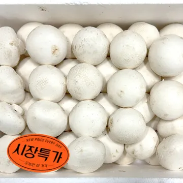 ★매일시장특가★ 양송이버섯(상 2Kg/BOX) 초특가 채소 야채 양송이 버섯