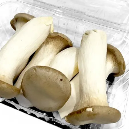 ★매일시장특가★ 프레시원 새송이버섯(소분 500g/EA) 초특가 채소 야채 새송이 버섯 이미지