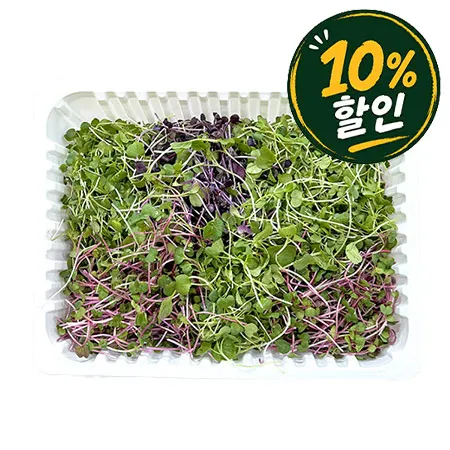 ★매일시장특가★혼합베이비채소(국산 500g/EA)