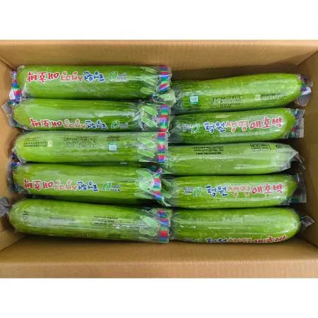 애호박(상 한국청과 106번 6Kg/BOX)