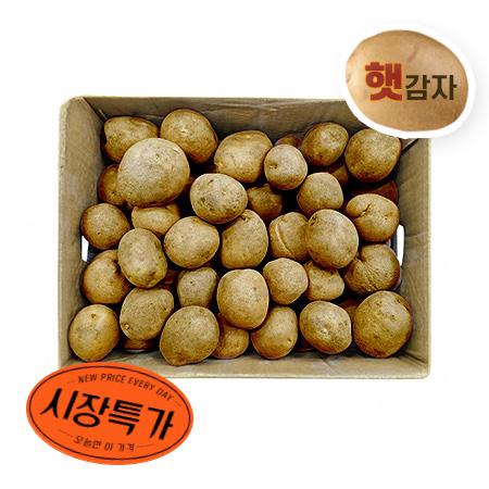 ★매일시장특가★ 감자 왕특 20kg/BOX (150g이상/개)