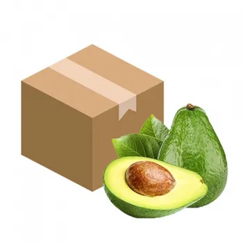 아보카도(24과내외 5Kg/BOX)