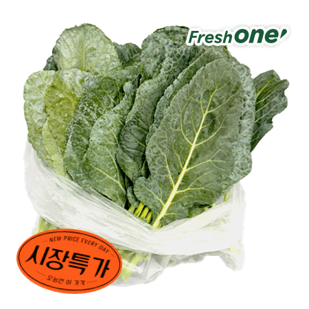 ★매일시장특가★ 케일(상 500g/EA) 초특가 채소 야채 쌈케일