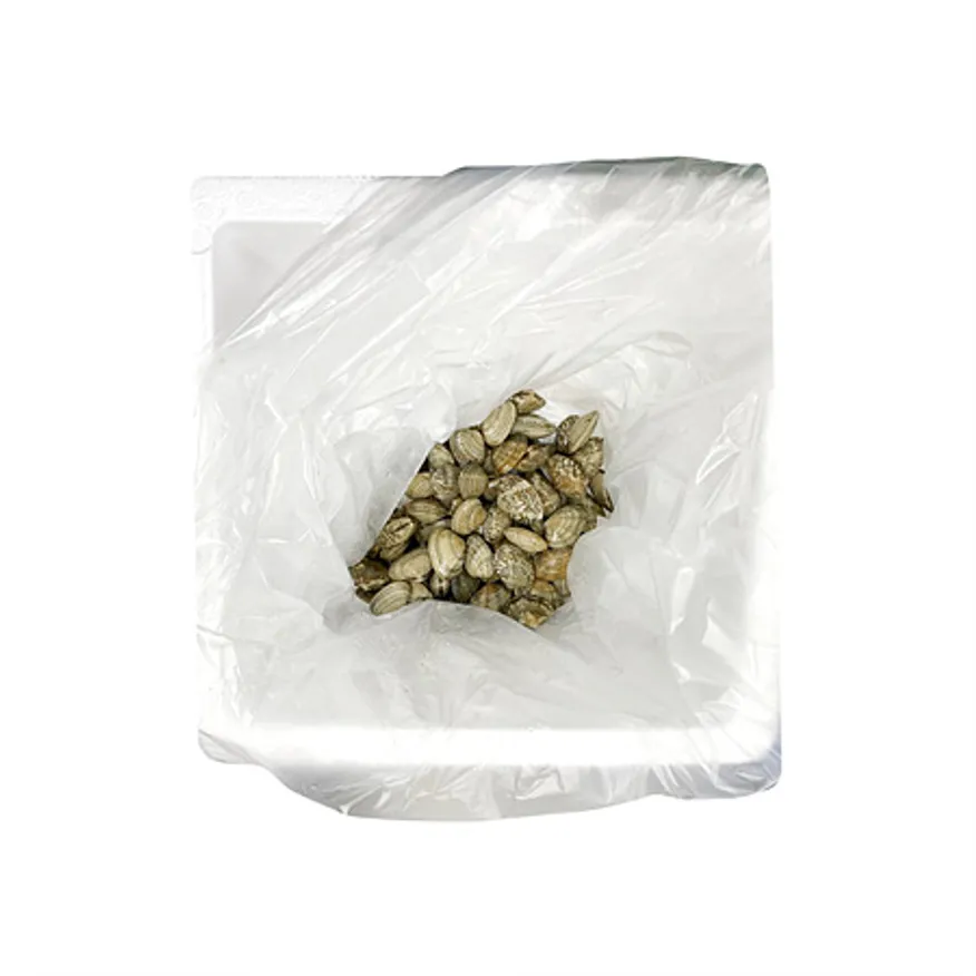 바지락(생물_중_부분해감_A자 5Kg/EA)/중국산 이미지