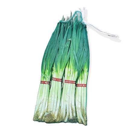 ♥첫구매♥ 흙대파(10단_망 9Kg/EA)