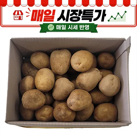 ★매일시장특가★ 프레시원 감자 (왕특, 150g이상, 5Kg/BOX)