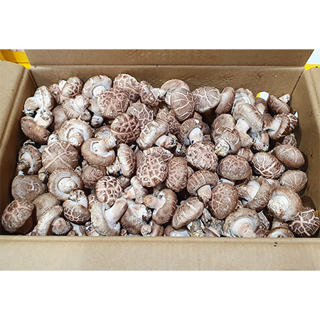 표고버섯(L 4Kg/BOX)/중국산