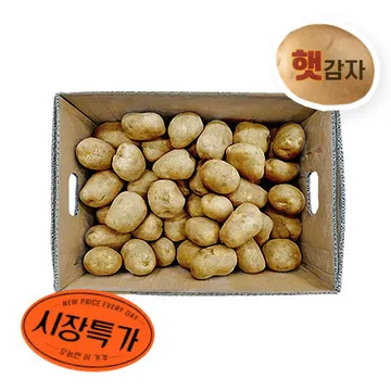★매일시장특가★ 감자(대 80~120g/개 20Kg/BOX)