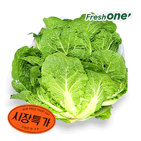 ★매일시장특가★ 프레시원 봄동 1Kg