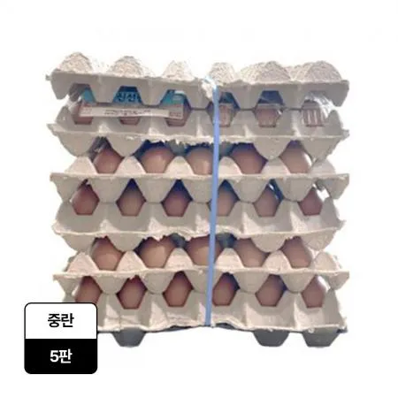 중란 (30입, 5판)