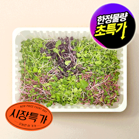 ★매일시장특가★혼합베이비채소(국산 500g/EA) ★무농약★ 초특가 채소 야채 국내산 혼합 베이비