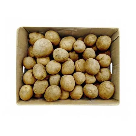 ★매일시장특가★ 감자(왕특 150~200g/개 20Kg/BOX) 이미지