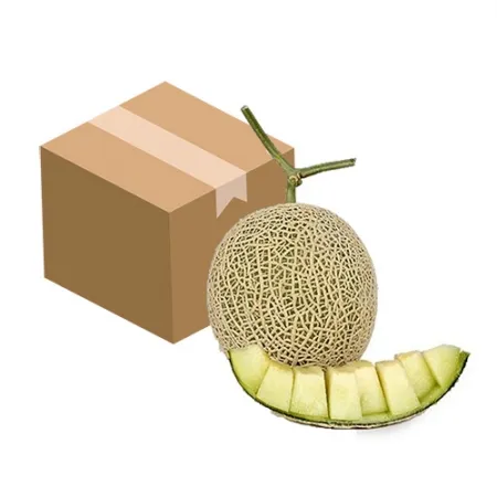 머스크멜론(5수 8Kg/BOX)/국내산 이미지