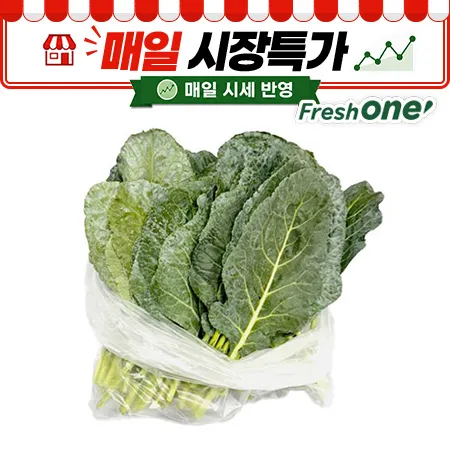 ★매일시장특가★ 프레시원 케일(상 500g/EA)