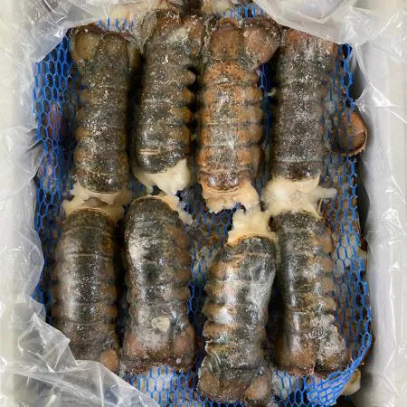 랍스터테일(110g/마리_오차범위5%내외 110g/EA)