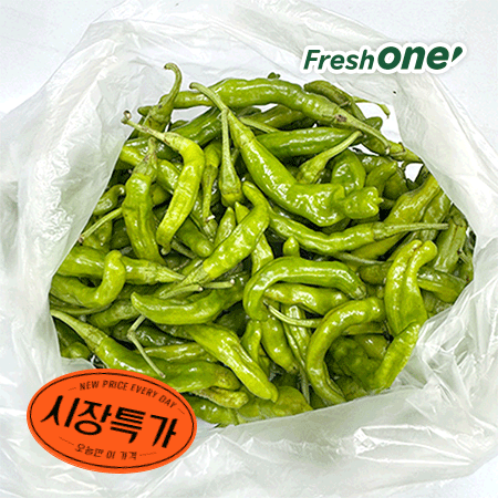 ★매일시장특가★ 꽈리고추(국산 500g/EA) 초특가