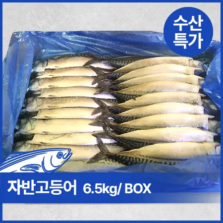 노르웨이 자반고등어 (구이용, 대 10손 6.5Kg/BOX)