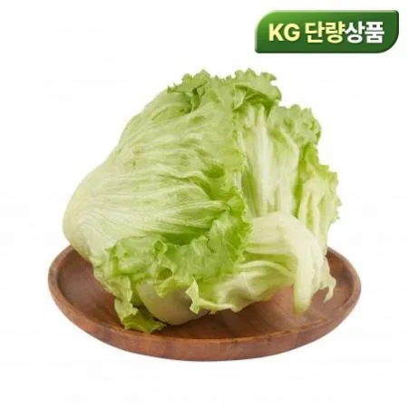 ★초특가★ 양상추 (겉잎제거, 국내산, 상, KG단위 출고)
