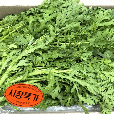 ★매일시장특가★ 쑥갓(상 4Kg/BOX) 초특가 채소 야채