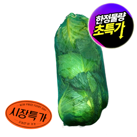 ★매일시장특가★ 40망 양배추 3개입 초특가 행사(매일 선착순 250망)