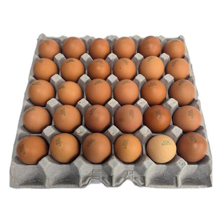 도란도란 유정란(동물복지인증_52g*30입 1.56Kg/EA)