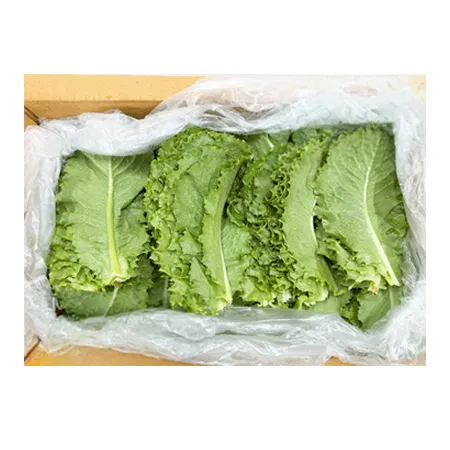 ★매일시장특가★ 로메인(상 2KG/BOX) 이미지