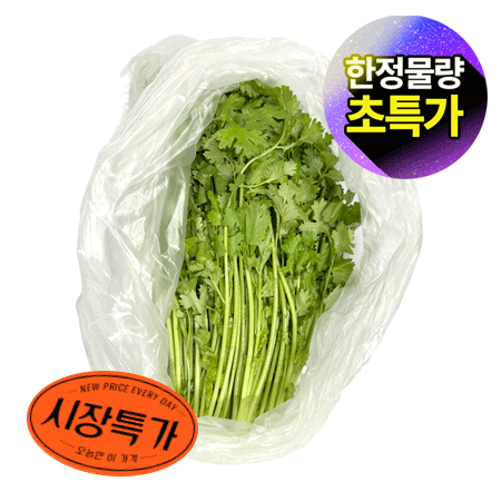 ★매일시장특가★ 고수 1단(국산 200g/EA) 초특가 채소 야채 국내산 마라탕