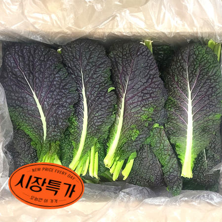 ★매일시장특가★ 적겨자잎(상 2Kg/BOX) 적겨자 초특가 채소 야채