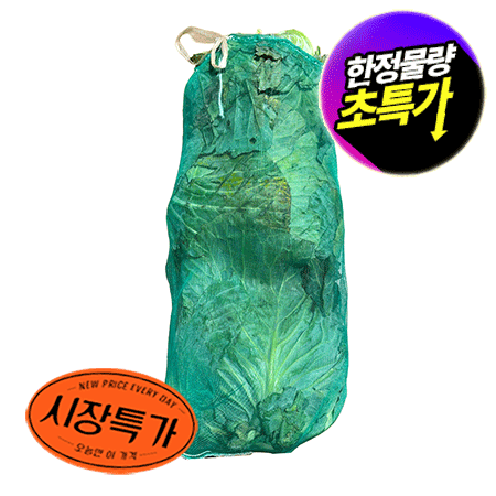 ★매일시장특가★ 양배추(3개입_38망 국내산/EA) 초특가