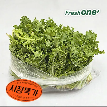 ★매일시장특가★ 프레시원 치커리(상 500g/EA)