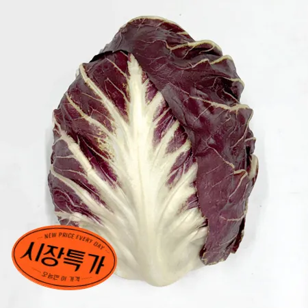 ★매일시장특가★ 라디치오 국내산 ( 상 300g/EA) 초특가 채소 야채