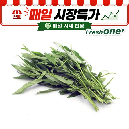 ★매일시장특가★ 프레시원 공심채(500g/EA) 모닝글로리