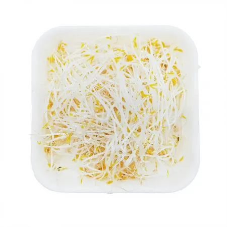 숙주나물(상품 쌀국수용 4Kg/Kg출고)