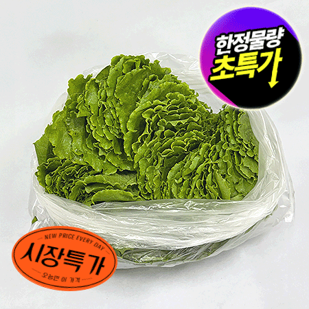 ★매일시장특가★ 로메인(상 500g/EA) 초특가 채소 야채 유러피언 농산물 유럽 유러피안 유로피안