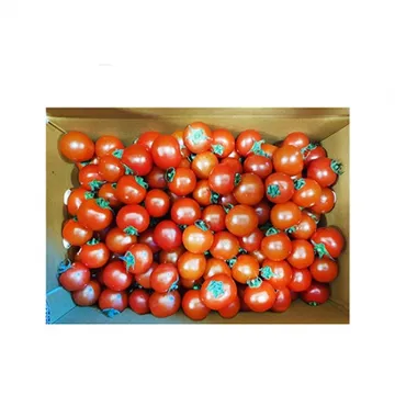 방울토마토(10~15g/개 5Kg/BOX)/국내산