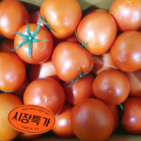★매일시장특가★ 토마토(완숙_20~25과 5Kg/BOX)