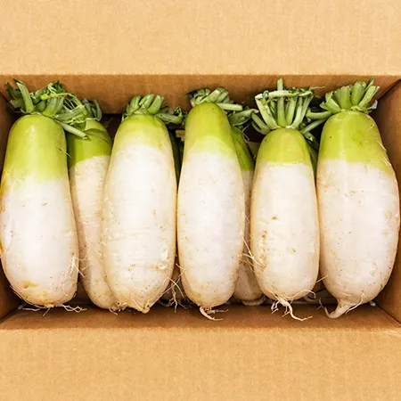 ★매일시장특가★  무우 국내산 18Kg/BOX 초특가 이미지