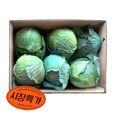 ★매일시장특가★ 중국산 양배추 15KG (6~8입)